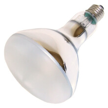OSRAM Ultra-VITALUX 300W INKL gutschein Aber EUR 2 50