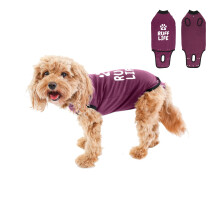 Bellyguard - After Surgery Dog Recovery Onesie Post Spay Neuter Body Suit for Male and Female Dogs comfortable cone Alternative for Large and Smal