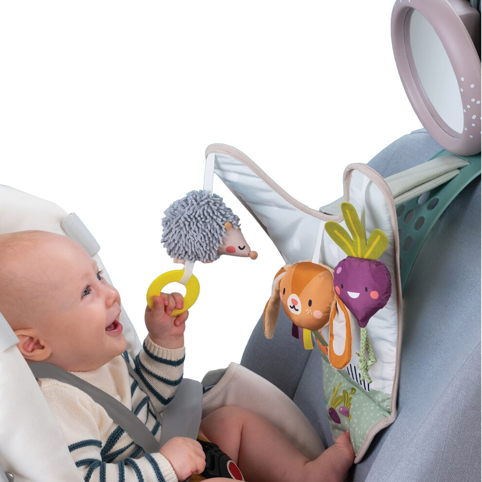 Taf Toys Infant Car Seat Development Center Newborn Baby Essentials Must Haves Toy Car Seat Accessories Activity Center With Car Seat Mirror For New