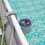 Bestway Bestway Pool Surface Skimmer Hanging Wall Mount Surface Skimmer Flowclear 58233 6