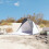 VidaXL vidaXL Strandzelt Grau 268x223x125 cm 185T Polyester 3