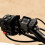 Oxford CLIQR USB Type C Handlebar Mount Kit Black 3