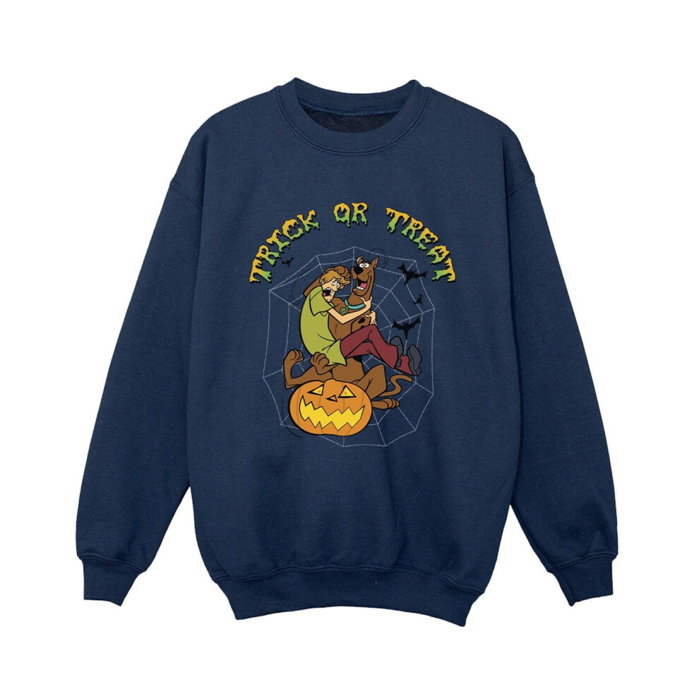 Trick Or Treat Sweatshirt