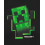 Minecraft Minecraft Short Sleeved T-Shirt (Boys Black) 7