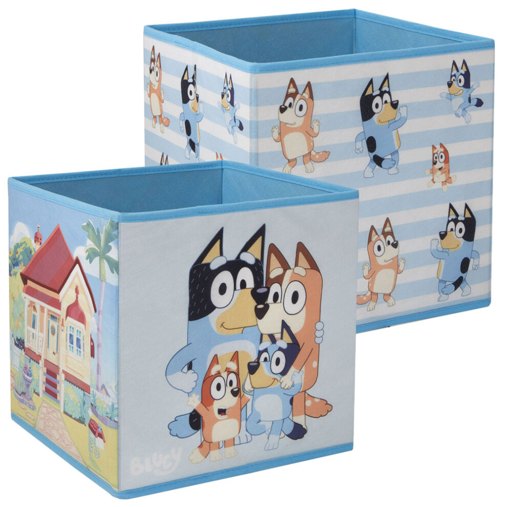 Bluey Characters Storage Box