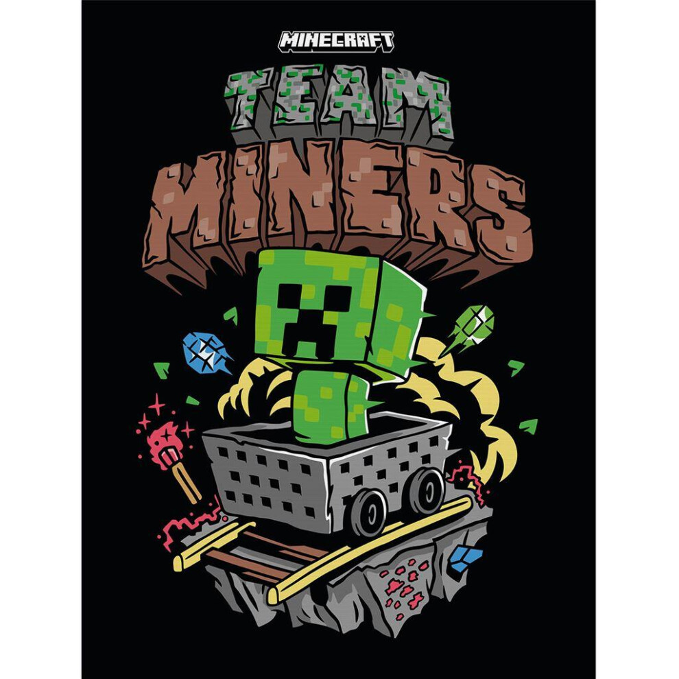 (80cm x 60cm, Multicoloured) Minecraft Team Miners Framed Canvas Print