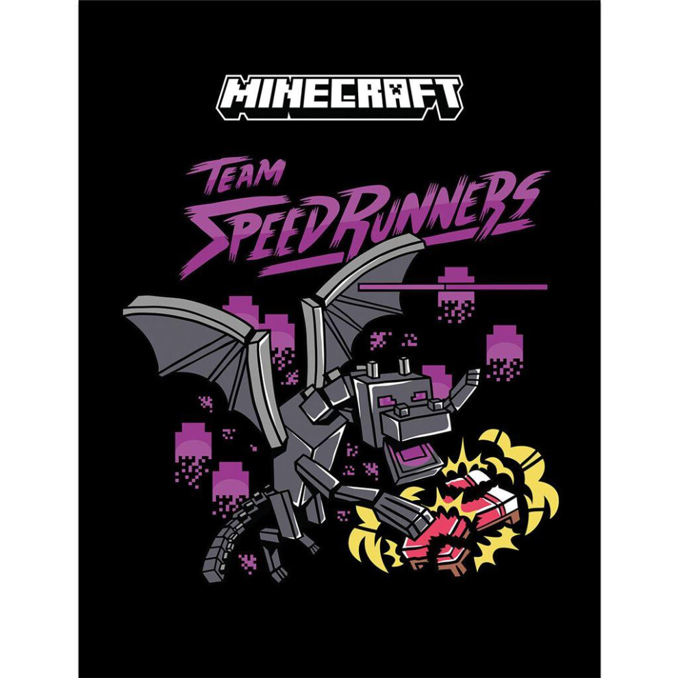 Minecraft Team Speedrunners Printed Framed Poster