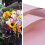 (pink) 20 Counts Ed Flower Wrap ,diy Pack, Fl Wrap 58 * 58cm 2