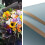 (Moonlight Blue) 20 Counts Ed Flower Wrap ,diy Pack, Fl Wrap 58 * 58cm 2