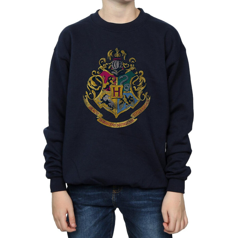 Hogwarts Houses Cotton Sweatshirt