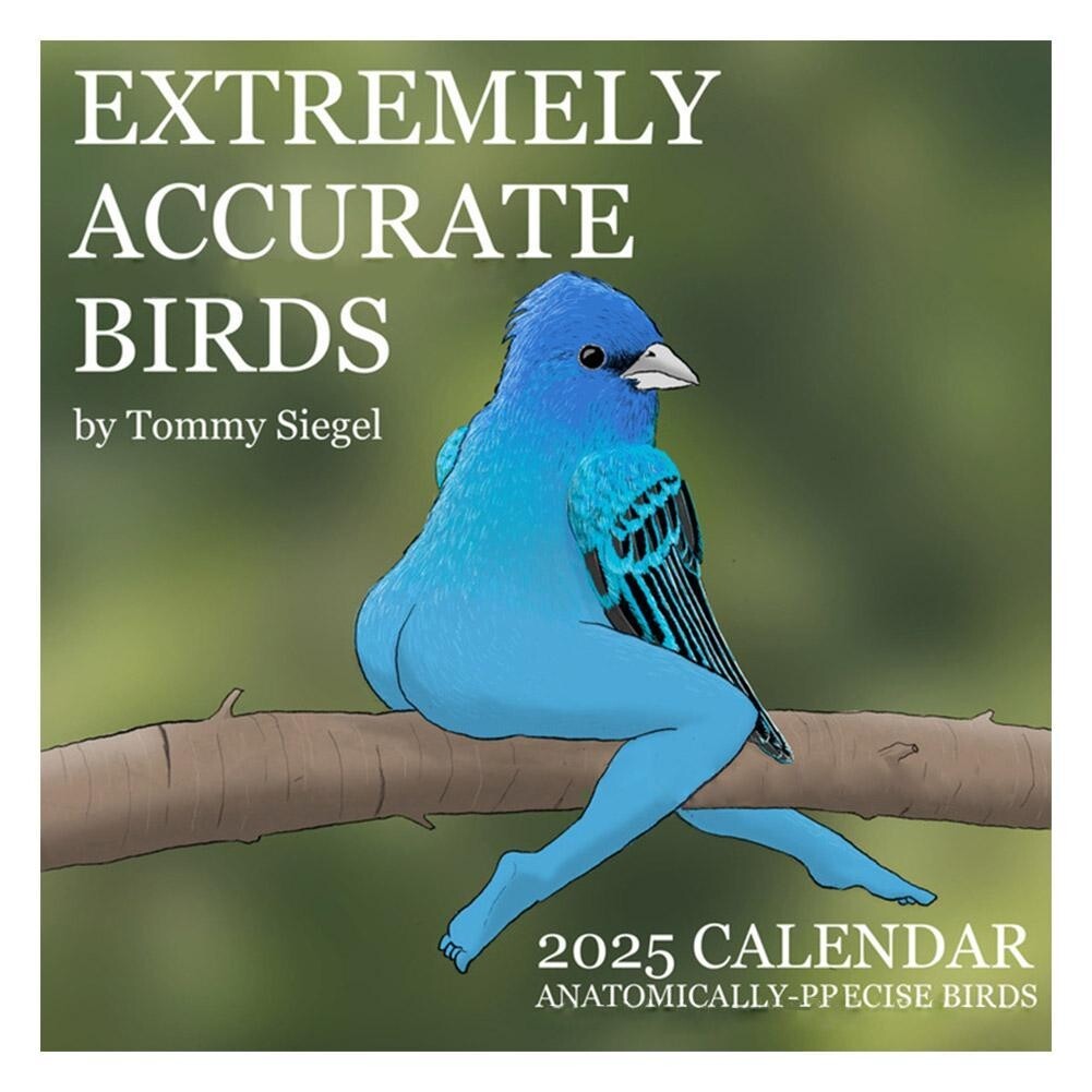 Extremely Accurate Birds Calendar Poster Easy Install 2025 Hanging Wall