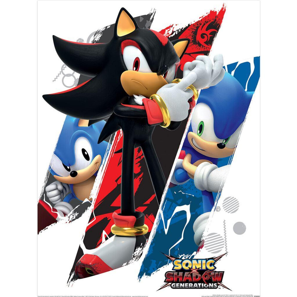 Sonic The Hedgehog Shadow & Sonic Print