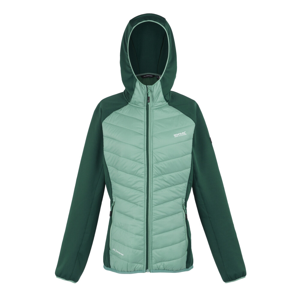 (8 UK, Dusty Green/Rainforest) Regatta Womens/Ladies Andreson VIII Hybrid Jacket