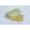 Old India Bay Leaves 1 Kg 5