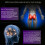 Intelligent Multi-function Hip Massager Hip Trainer, Buttock Sticker 12