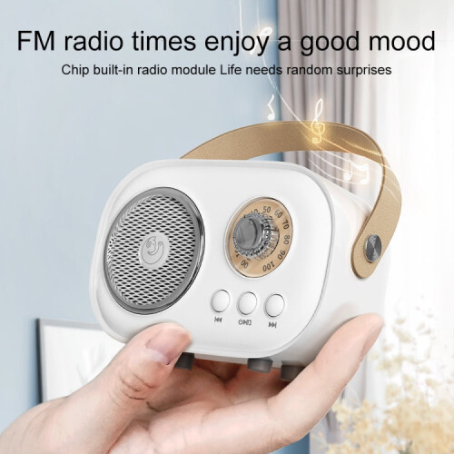 C20 Plus Multifunctional Karaoke Bluetooth Speaker With Microphone (White) 2
