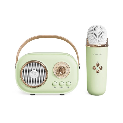 C20 Plus Multifunctional Karaoke Bluetooth Speaker With Microphone (Green) 1