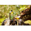 Filippo Berio Extra Virgin Olive Oil, 1L 4