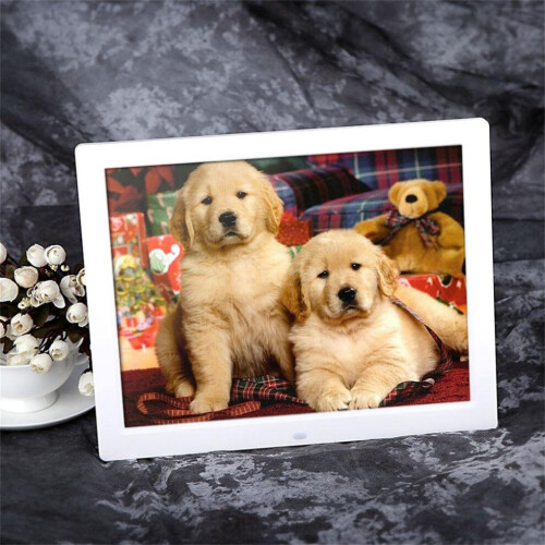STOYOTU 15" LED HD High Resolution Digital Picture Photo Frame + Remote Controller 1