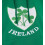 (XL) Ireland Rugby Unisex Pullover Hoodie 4