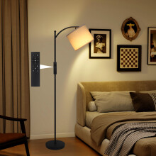 Modern Floor Lamp with Magnetic Remote, Dimmable Reading Light, 3 Color Modes, 1H Timer, Black, E27, 159 cm