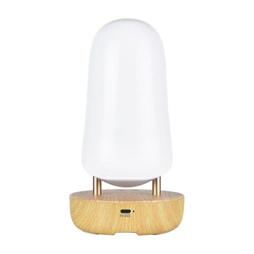 Toucan Bird Bluetooth Speaker Night Light Stepless Dimming LED Breathing Light Table Lamp 1