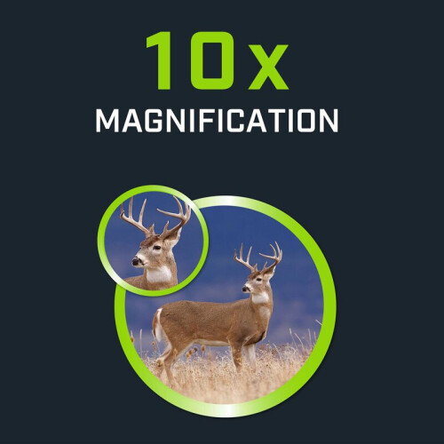 Bushnell Bushnell 10x42 Bone Edition Engage X Real-Tree  Binoculars 1