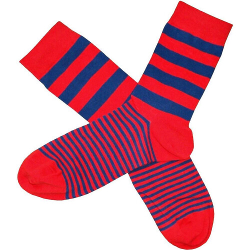 Bassin and Brown Graded Multi Striped Socks - Red/Blue 2