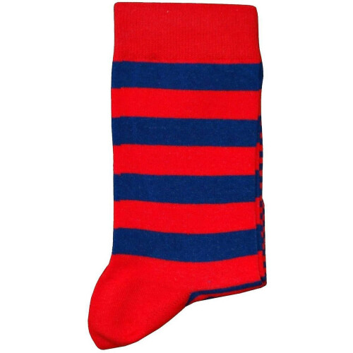 Bassin and Brown Graded Multi Striped Socks - Red/Blue 1