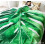 (white, 200*230CM) Leaf Blanket Green Plant Throw Blankets 4
