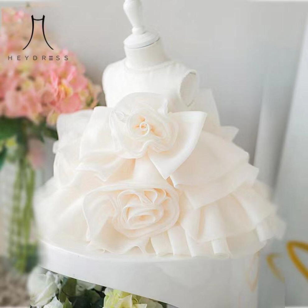 (champagne, 110) Baby One-year-old Dress Princess Dress New Style Baby Girl&apos;s Puffy Yarn Birthday White Dress Western Style Puffy Yarn Party Dress For Girl
