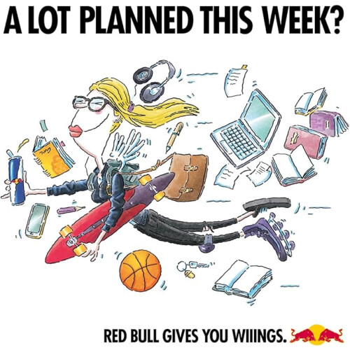 Red Bull Red Bull Energy Drink Zero 250 ml x24 1