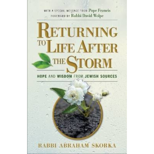 Returning to Life After the Storm