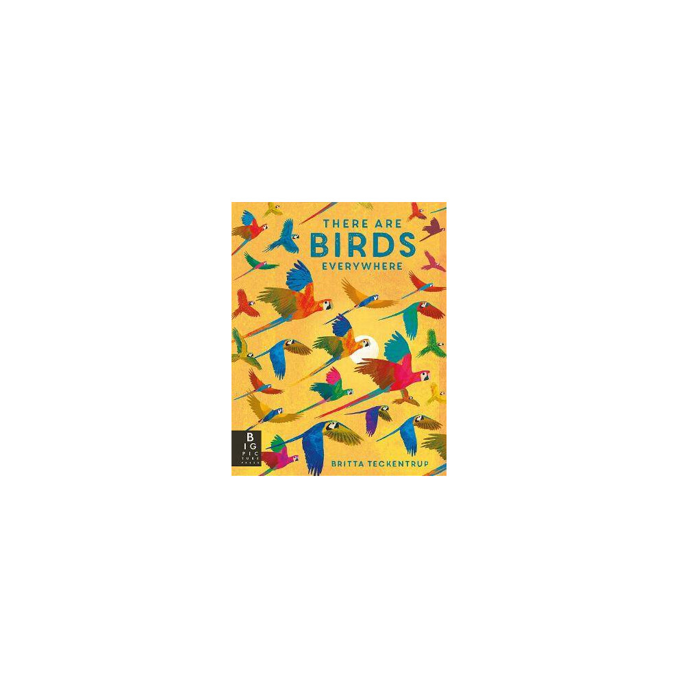 There are Birds Everywhere