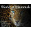 World of Mammals 1