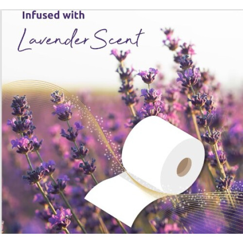Phoenix 36 Phoenix Soft Lavender Fragranced Luxury Toilet Rolls 2