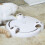 Pounce Cat Toy, Interactive Automatic Toy Adjustable Electronic Battery Operated Toy 5