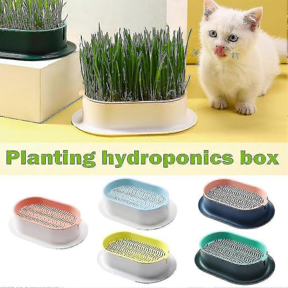 (White Pink) Hydroponic Cat Grass Planter Tray Plastic Catnip Cat Grass Box Soil Free Cat Grass Growing Box Cats Snack Tray-image-OPC-PFTRVC9-NEW