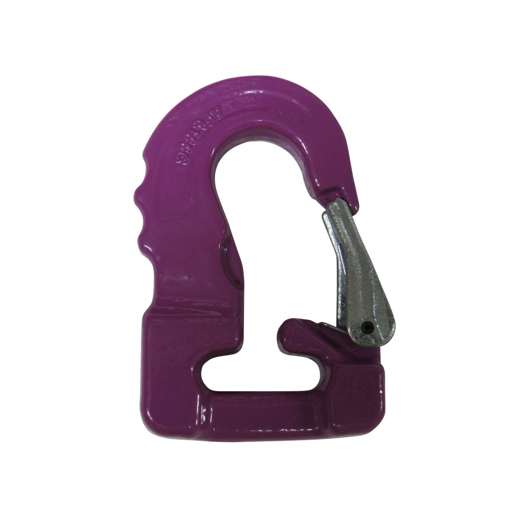 (1 Ton) Web Sling Lifting Hooks with Safety Catch (G100)-image-OPC-PFT9Q8T-NEW
