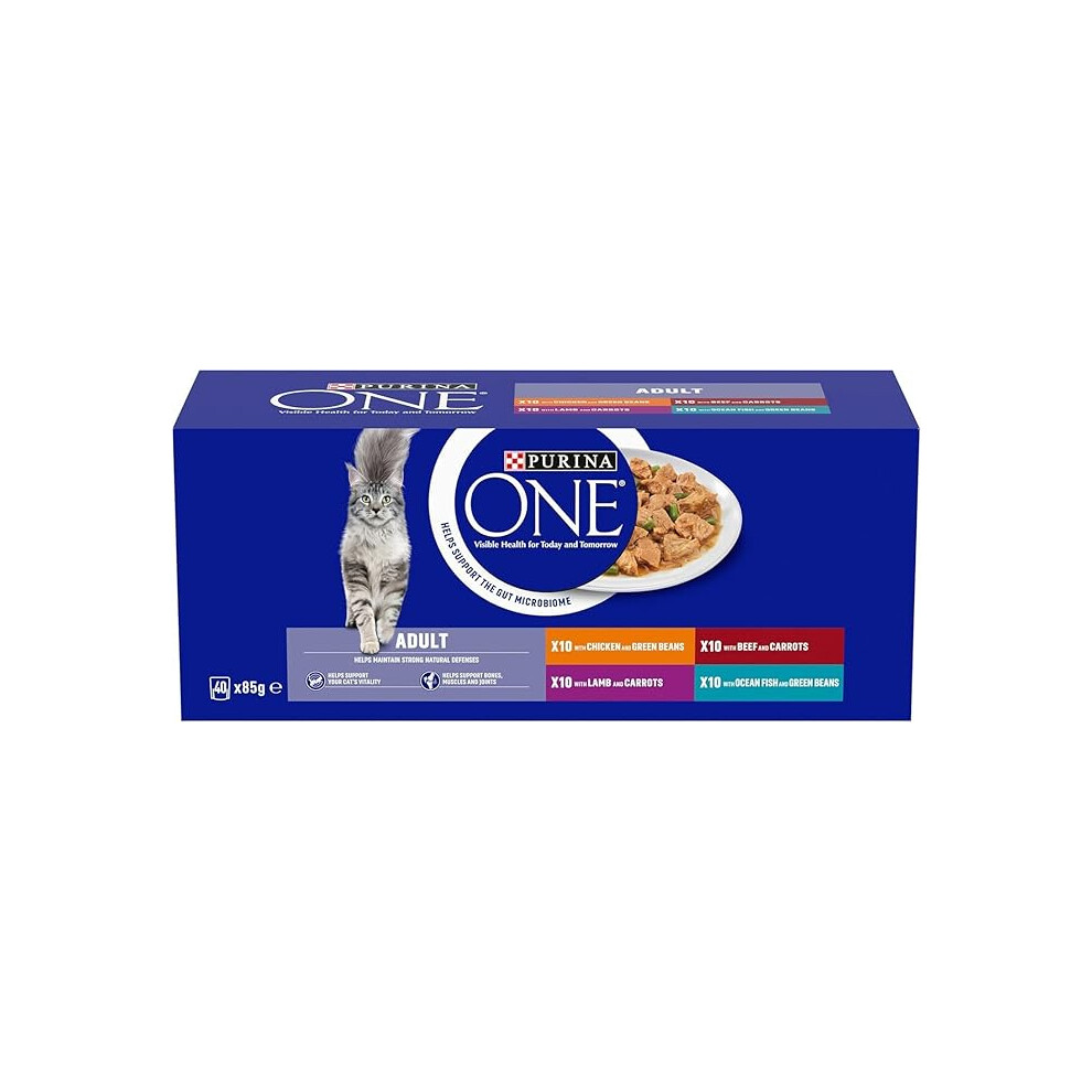 PURINA ONE Mini Fillets Mixed Selection in Gravy Wet Cat Food 40x85g