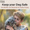 Pure Venison Nibbles, Just One Ingredient - NEW & IMPROVED 4