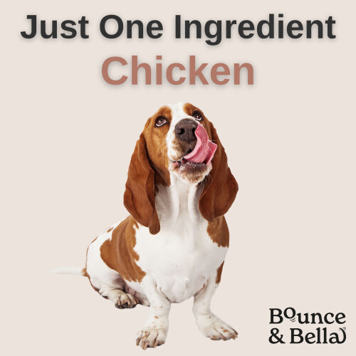 Pure Chicken Nibbles,  Just One Ingredient - NEW & IMPROVED 1