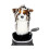 Daphnes Daphne Driver Headcover - Australian Shepherd 2