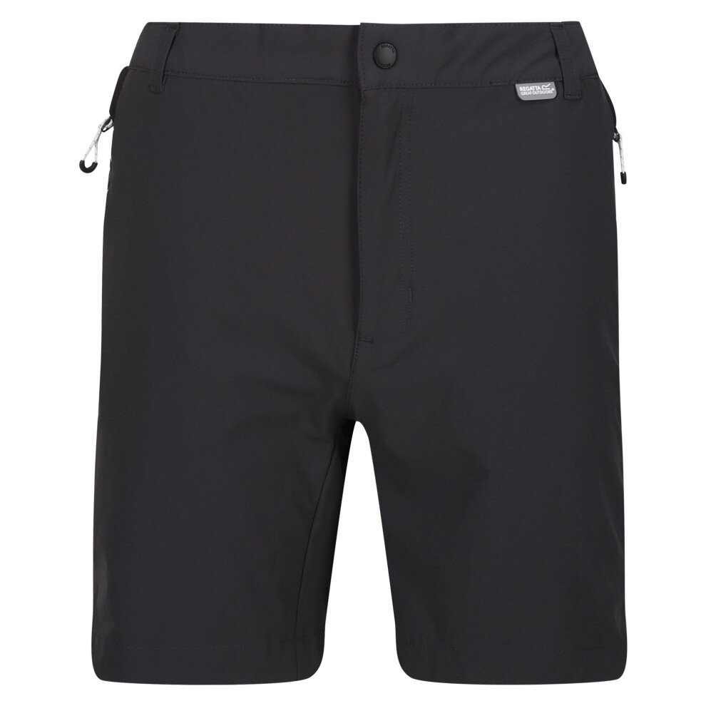 (40R, Ash/Black) Regatta Mens Mountain II Shorts