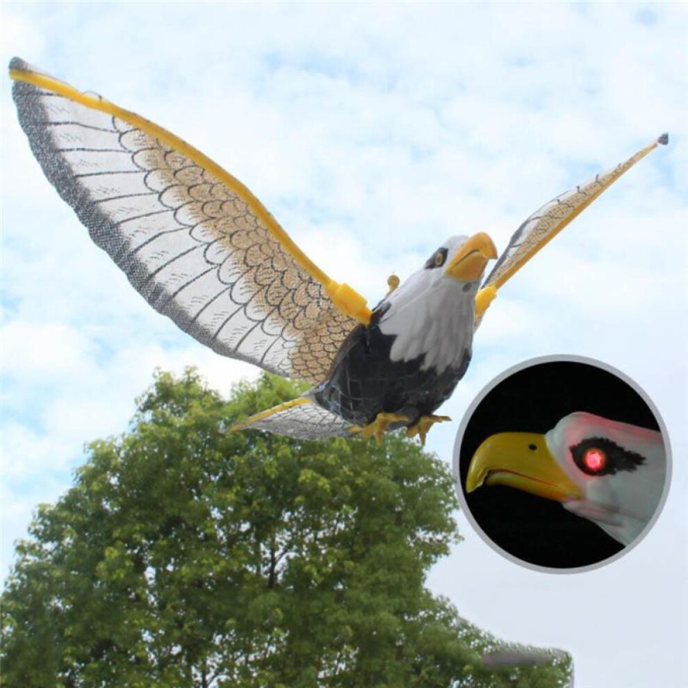 Luminous Eagle Bird Scarer with Music for Gardens