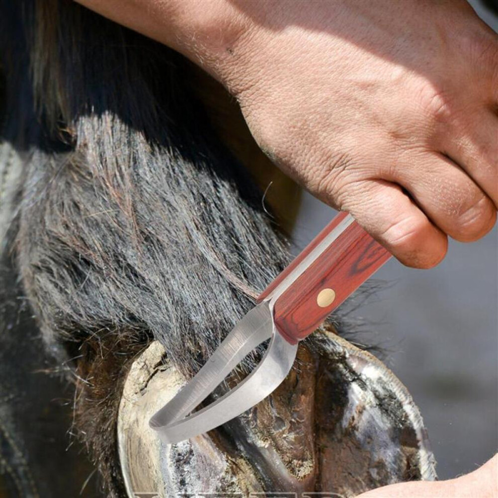 Professional Horse Hoof Nipper Trim Shoeing File Rasp,handle Hoof Cutter Tool