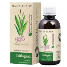 Plantain syrup, 200 ml, bronchial secretions