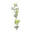 Sweet Pea Trail 3