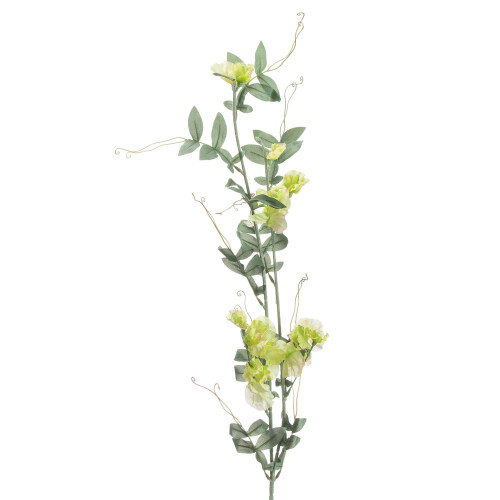 Sweet Pea Trail 2