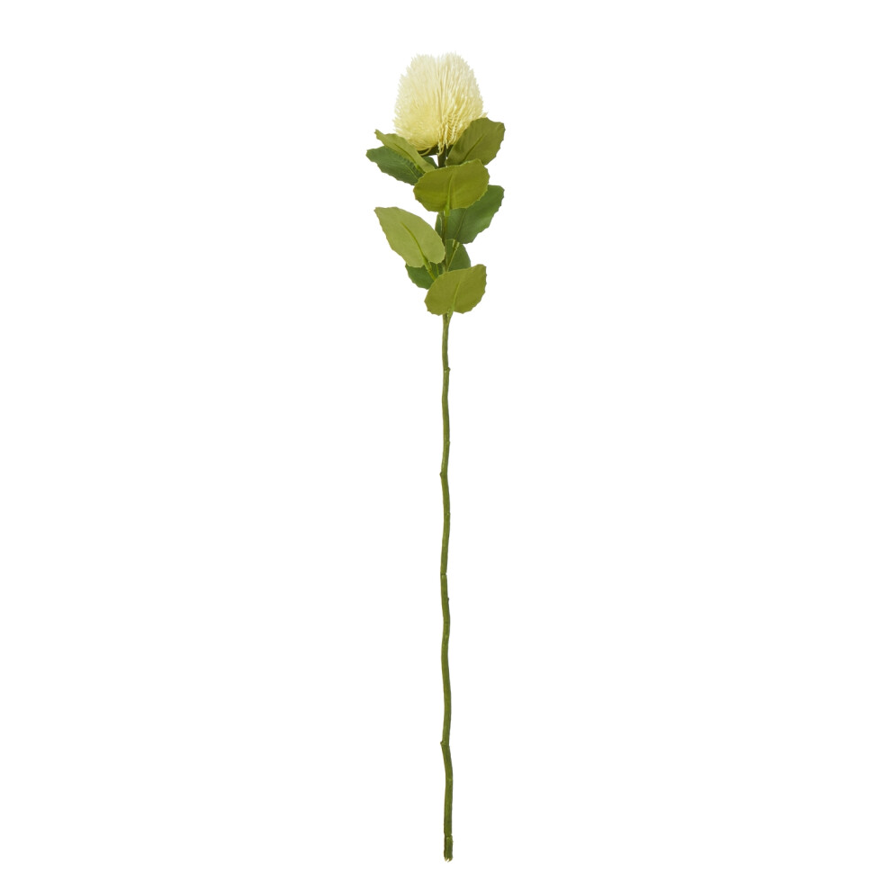 Hill Interiors Cream Banksia Stem
